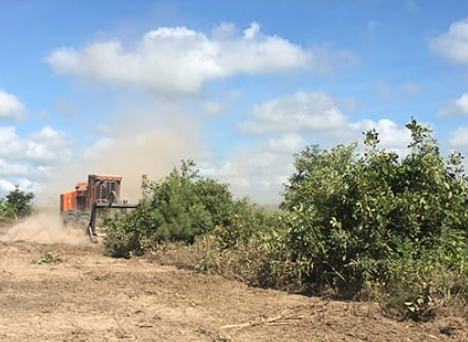 Brush mower clearing mesquite and brush on open acreage